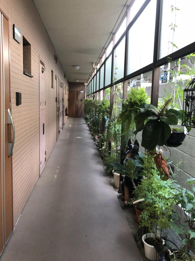 都心の家30 Square Meter King Size Bed With Stepping Rice Präfektur Tokio Exterior foto